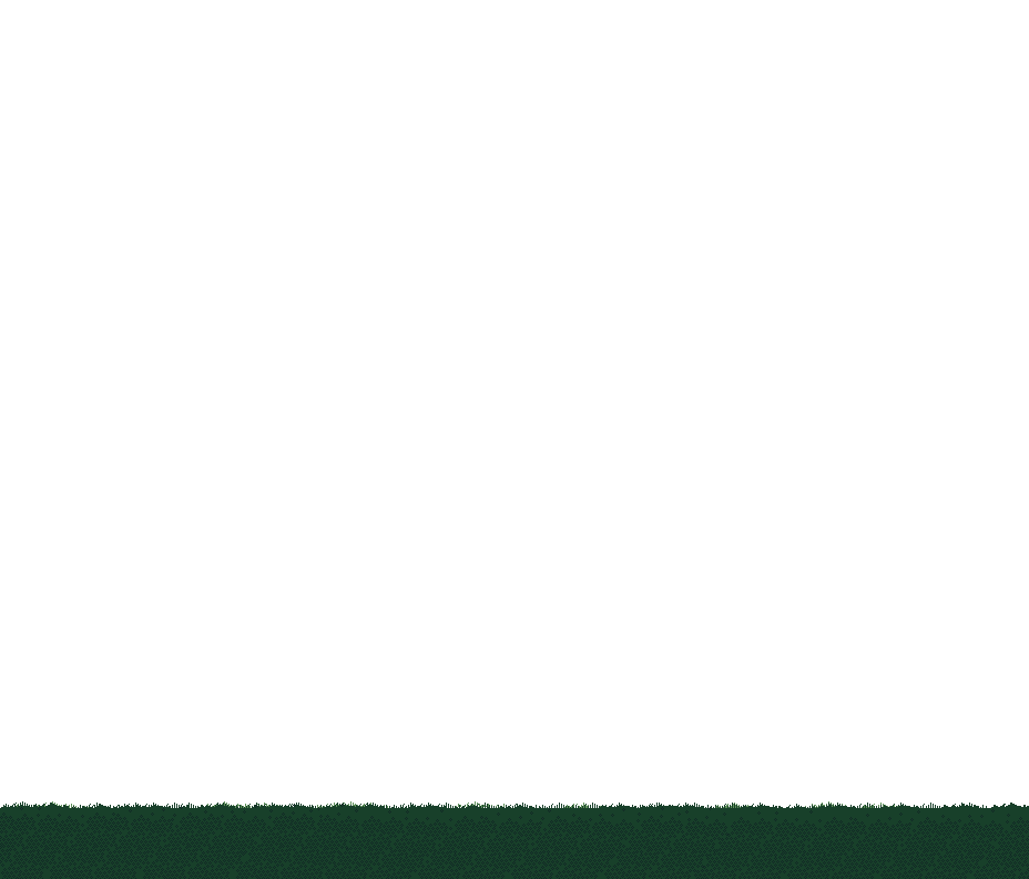 forest_1