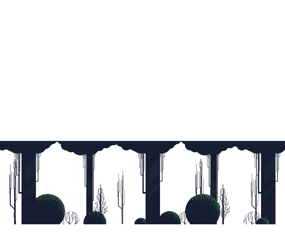 forest_5
